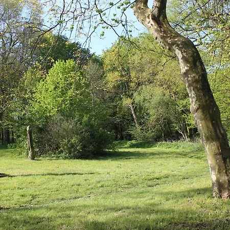 Herrenhaus 7 *